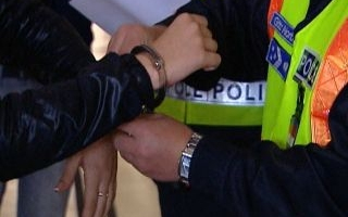 Lebukott az áruházi szarka