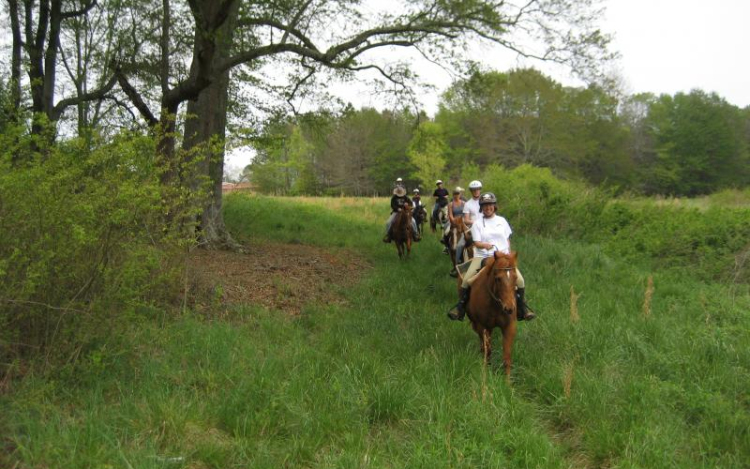 Kiemelt szerep juzt Nógrád megyének