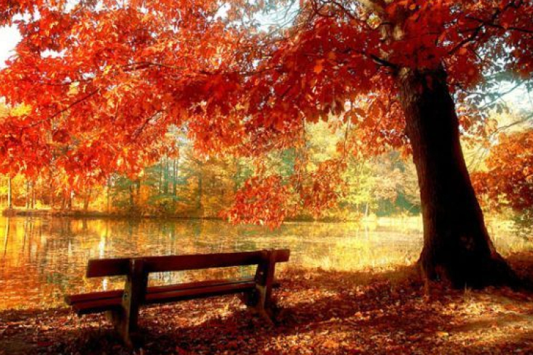 Mikor jön az őszi szünet? Hány hosszú hétvége maradt az idei évre?