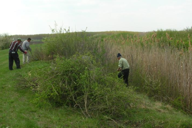 Több pénz jut közfoglalkoztatásra Nógrád megyében