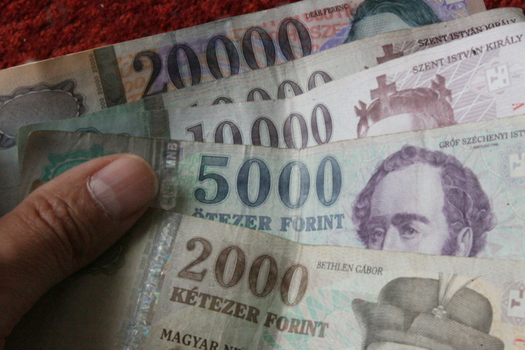 Támogatási kérelem a működőképesség megőrzéséhez