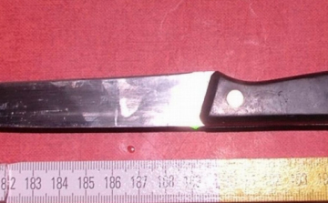 Késsel szúrta meg élettársát