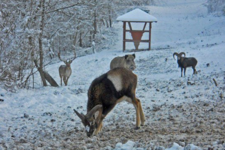 Idegenforgalmi fejlesztések a Nógrád megyei erdőkben