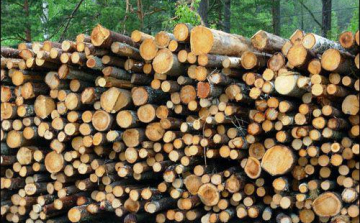 Fatolvajok a fogdán