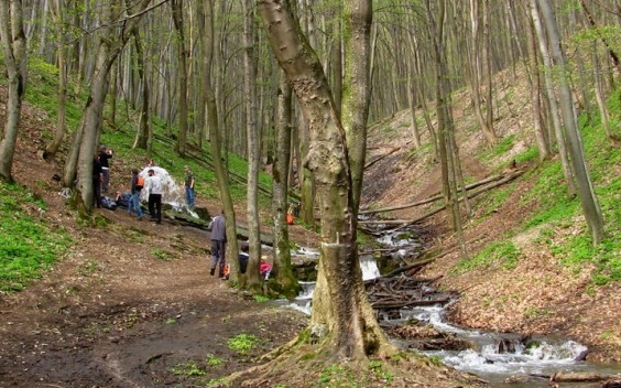 Zöldutas vidékfejlesztés és közösségépítés megyénkben