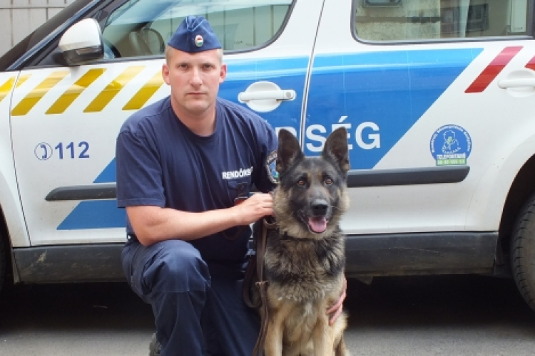 Rambo szagott fogott