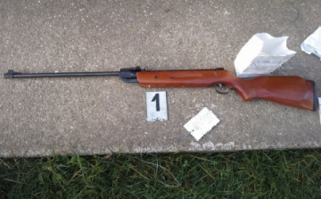 Véletlenül lőtte meg élettársát