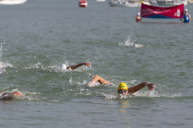 Augusztus 1-jén rendezik meg a 38. Balaton-átúszást