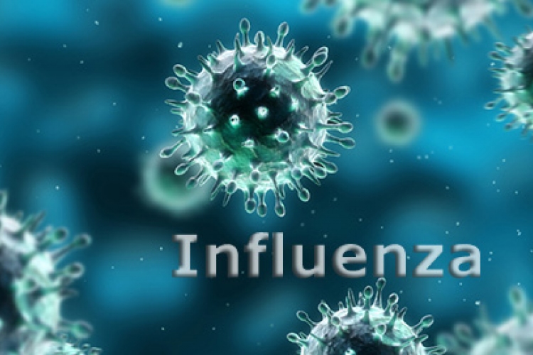 Influenza - Elérte a járvány az országot