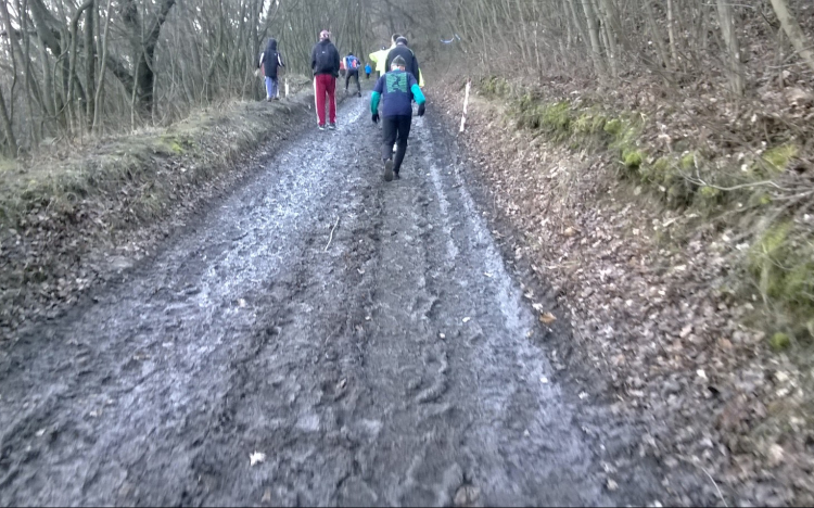 Három nógrádi krosszfutó érem Szentendrén