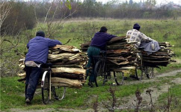 Ismét falopás miatt intézkedtek a rendőrök