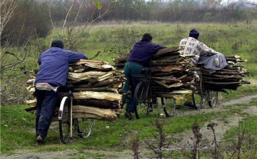Fatolvajt értek tetten Bátonyterenyén