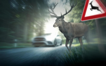 VEZESS ÓVATOSAN A NÓGRÁDI UTAKON