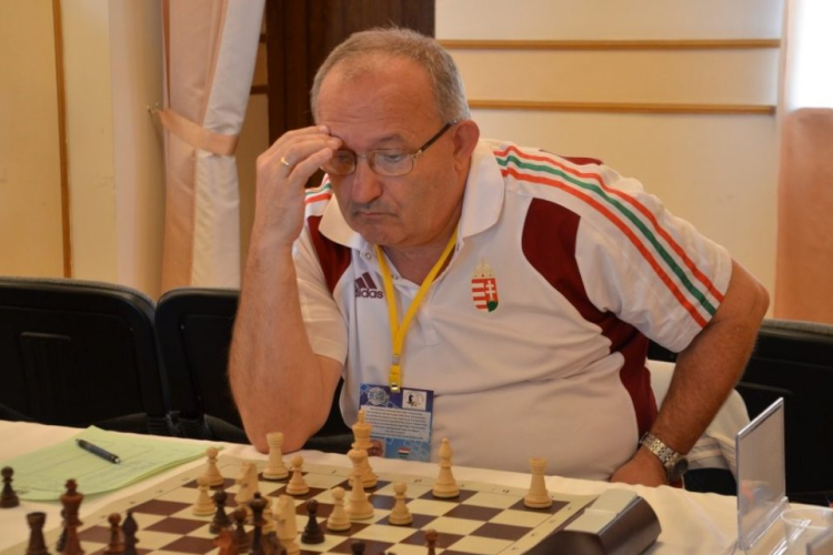 Frink Ferenc - A Palóc varázsló.