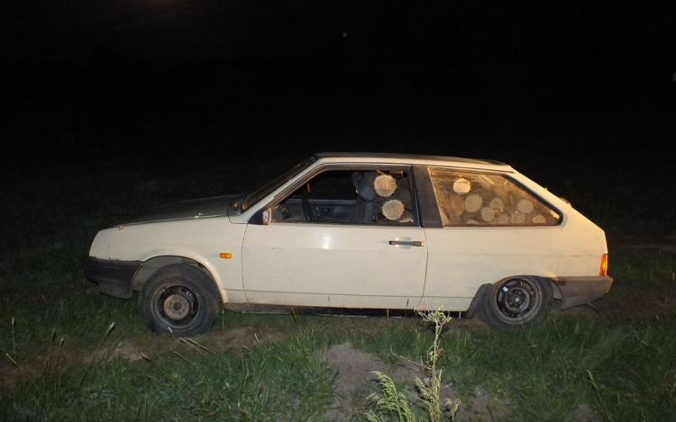 Több köbméter fát loptak