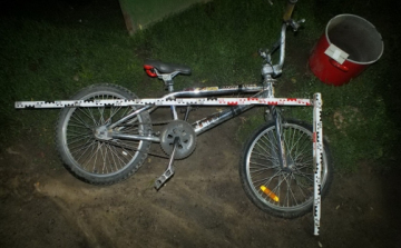 Házuk udvarán verekedtek