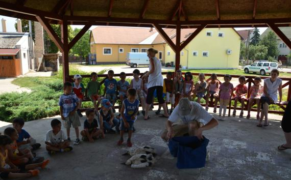 Sikeres volt a Gólya Road Show az Ipoly-völgyében