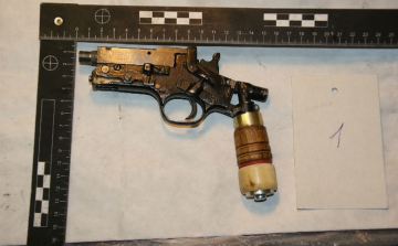 Lőfegyvert tartott magánál