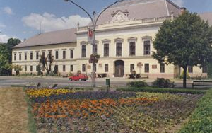 Balassagyarmat ingyen ad helyet a Nógrád megyei önkormányzatnak