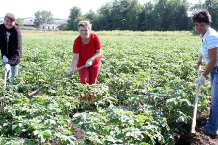 Szociális földprogramot hirdetett az Emmi szociális hivatala