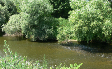 Nincs árvízveszély az Ipolyon