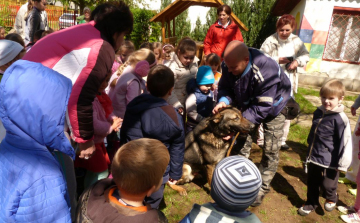 Rendőrkutya az „Apró rendőröknél”