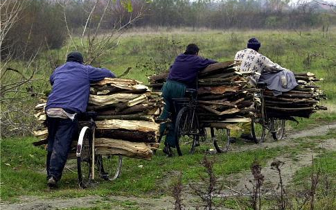 Fatolvajt értek tetten Bátonyterenyén