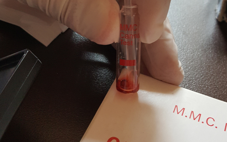 Elfogtak két férfit Salgótarjánban - videóval