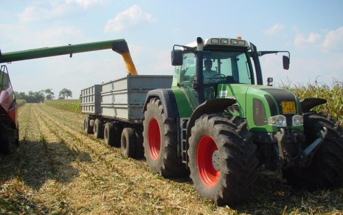 Kevés őszi árpa termett megyénkben