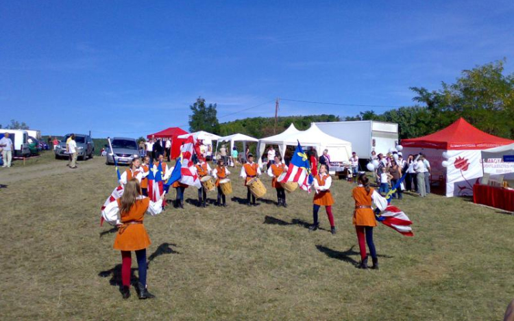 Gazdaünnep és almavirág fesztivál Kozárdon