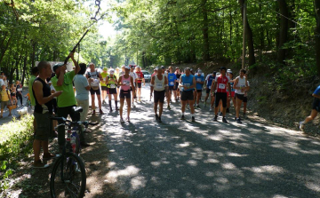 Nyolcvanan futottak a Börzsönyben