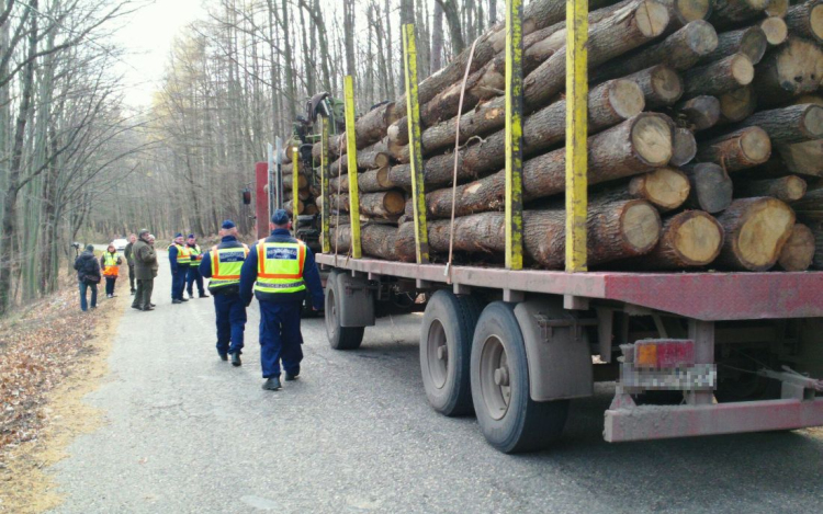 Fokozott ellenőrzést tartottak - videóval