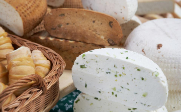 Megépült a Magyar Sajtút Hálózat első állomása