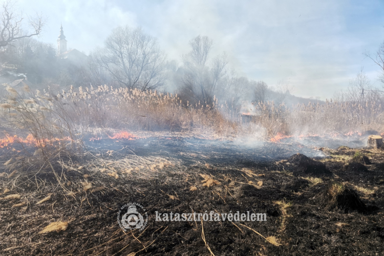 Kidőlt fák és szabadtéri tüzek vasárnap!