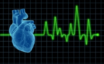 Sportorvosi térítési díjak