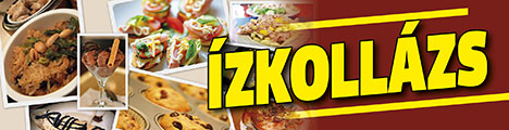 Ízkollázs